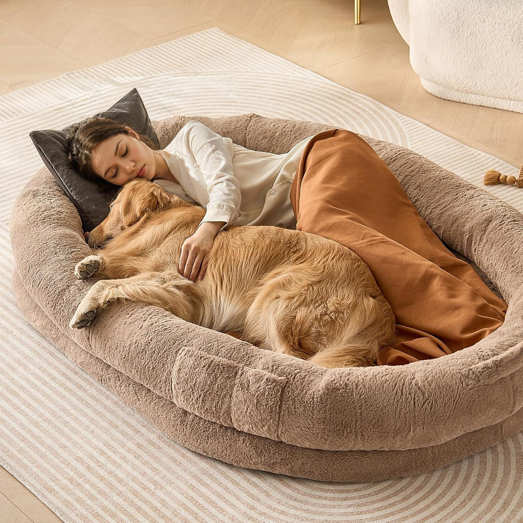 Human & Pet Sofa Bed